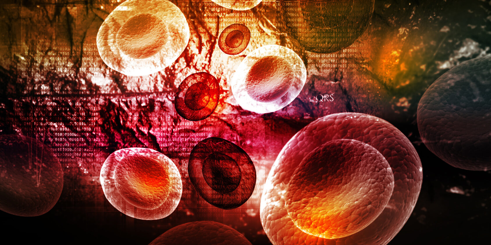 Digital illustration of blood cells